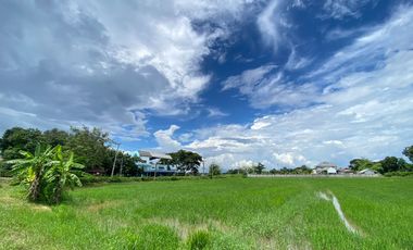 14-3-82 Rai of land for sale near San Kamphaeng