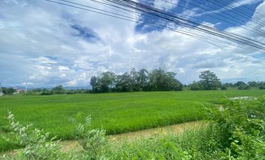 14-3-82 Rai of land for sale near San Kamphaeng
