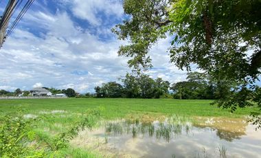 14-3-82 Rai of land for sale near San Kamphaeng