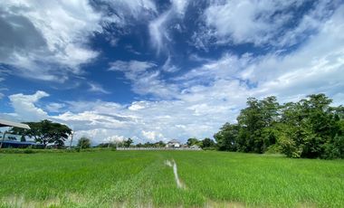 14-3-82 Rai of land for sale near San Kamphaeng