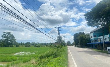 14-3-82 Rai of land for sale near San Kamphaeng