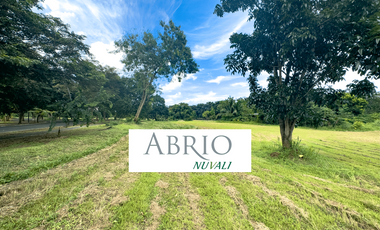 Abrio Nuvali for Sale, Phase 2 (1,161 sqm)