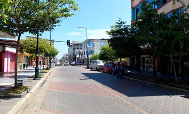 Venta o Alquiler propiedad comercial en Machala, 250m2 local y 500m2 de construccion total