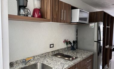 Loft 4to. nivel servicios incluidos, roof garden vista hacía los Volcanes