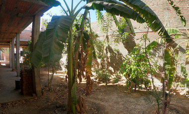 Vivienda en CASCO ROJO En Venta - Cachiche (Ica)