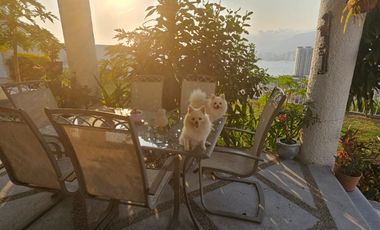 FABULOSA VILLA EN VENTA - JOYAS DE BRISAMAR, ACAPULCO, GUERRERO