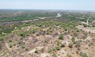 VENTA DE TERRENO – CARRETERA PIURA - PAITA