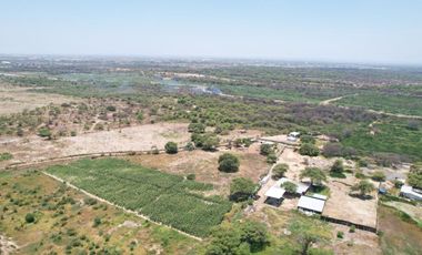 VENTA DE TERRENO – CARRETERA PIURA - PAITA