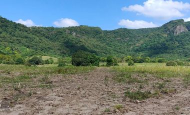 Raw Land for Sale in Nasugbo, Batangas