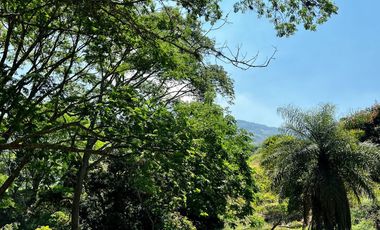 VENTA DE LOTE HACIENDA SAN JOSE L39 , SAN JERONIMO ANTIOQUIA