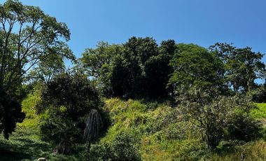 VENTA DE LOTE HACIENDA SAN JOSE L39 , SAN JERONIMO ANTIOQUIA