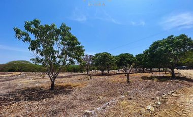 TERRENOS RESIDENCIALES CON VISTA AL MAR EN PUERTO ESCONDIDO