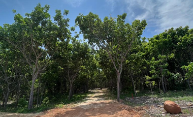 TERRENOS RESIDENCIALES CON VISTA AL MAR EN PUERTO ESCONDIDO