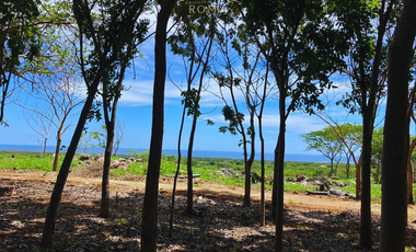TERRENOS RESIDENCIALES CON VISTA AL MAR EN PUERTO ESCONDIDO