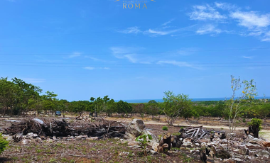 TERRENOS RESIDENCIALES CON VISTA AL MAR EN PUERTO ESCONDIDO