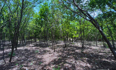 TERRENOS RESIDENCIALES CON VISTA AL MAR EN PUERTO ESCONDIDO