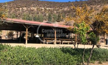 SE VENDE TERRENO LADERA DE CERRO LA BATALLA ,CALERA DE TANGO DE 5.500 M2 EN  UF 900   $35.500.000