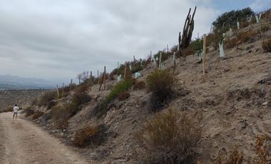 SE VENDE TERRENO LADERA DE CERRO LA BATALLA ,CALERA DE TANGO DE 5.500 M2 EN  UF 900   $35.500.000
