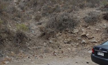 SE VENDE TERRENO LADERA DE CERRO LA BATALLA ,CALERA DE TANGO DE 5.500 M2 EN  UF 900   $35.500.000