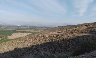 SE VENDE TERRENO LADERA DE CERRO LA BATALLA ,CALERA DE TANGO DE 5.500 M2 EN  UF 900   $35.500.000