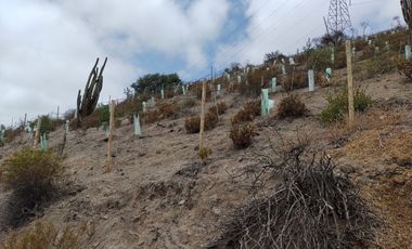 SE VENDE TERRENO LADERA DE CERRO LA BATALLA ,CALERA DE TANGO DE 5.500 M2 EN  UF 900   $35.500.000