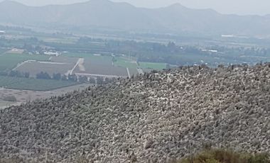 SE VENDE TERRENO LADERA DE CERRO LA BATALLA ,CALERA DE TANGO DE 5.500 M2 EN  UF 900   $35.500.000
