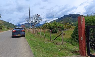 Te vendo, cambio o recibo propiedad en Medellín como parte de pago para esta preciosa finca ganadera ubicada en Urrao.