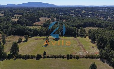 Villarrica Lefun parcelas de 5.000m2 disponibles a 1.000 metros segunda faja COD.VTAP132