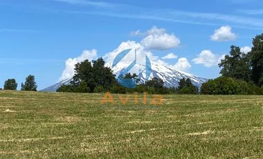 Villarrica Lefun parcelas de 5.000m2 disponibles a 1.000 metros segunda faja COD.VTAP132