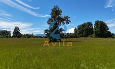 Villarrica Lefun parcelas de 5.000m2 disponibles a 1.000 metros segunda faja COD.VTAP132