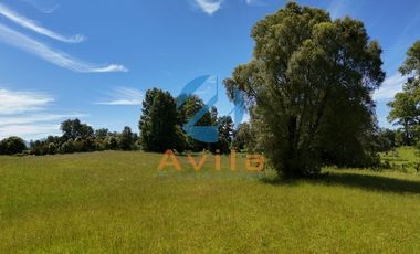 Villarrica Lefun parcelas de 5.000m2 disponibles a 1.000 metros segunda faja COD.VTAP132