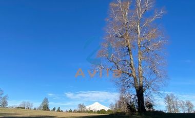 Villarrica Lefun parcelas de 5.000m2 disponibles a 1.000 metros segunda faja COD.VTAP132
