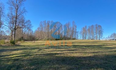 Villarrica Lefun parcelas de 5.000m2 disponibles a 1.000 metros segunda faja COD.VTAP132