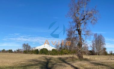 Villarrica Lefun parcelas de 5.000m2 disponibles a 1.000 metros segunda faja COD.VTAP132