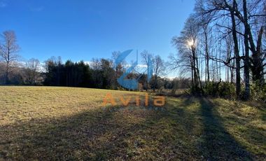 Villarrica Lefun parcelas de 5.000m2 disponibles a 1.000 metros segunda faja COD.VTAP132
