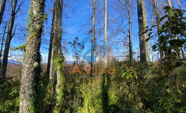 Villarrica Lefun parcelas de 5.000m2 disponibles a 1.000 metros segunda faja COD.VTAP132