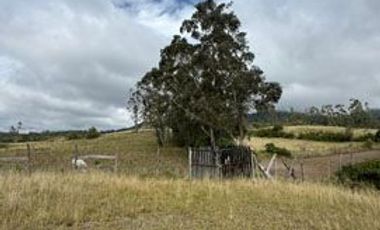 Terreno de venta en Cotacachi sector Cuicocha, 3 ha