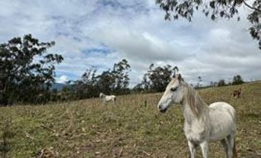 Terreno de venta en Cotacachi sector Cuicocha, 3 ha