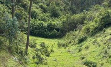 Terreno de venta en Cotacachi sector Cuicocha, 3 ha