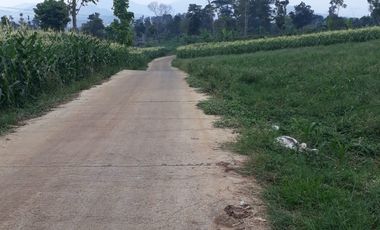 3,5 Ha Tanah Datar Terbelah Jalan Cor, Pinggirsari, Arjasari, Kab.Bandung