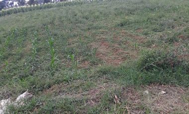 3,5 Ha Tanah Datar Terbelah Jalan Cor, Pinggirsari, Arjasari, Kab.Bandung