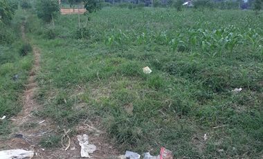3,5 Ha Tanah Datar Terbelah Jalan Cor, Pinggirsari, Arjasari, Kab.Bandung