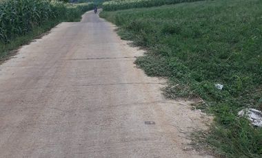3,5 Ha Tanah Datar Terbelah Jalan Cor, Pinggirsari, Arjasari, Kab.Bandung