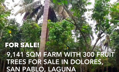 9,141 SQM FARM WITH 300 FRUIT TREES FOR SALE IN DOLORES, SAN PABLO, LAGUNA