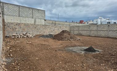 TERRENO DE 386 M2 EN  PASEOS DE LA REYNAS