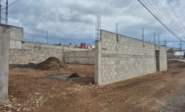 TERRENO DE 386 M2 EN  PASEOS DE LA REYNAS