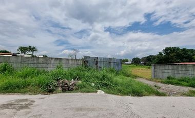 2 Hectares Lot for sale in Paralaya Manibaug Porac Pampanga near CLARK