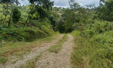 LOTE EN VENTA EN LA LAGUNA SAN CARLOS PANAMÁ