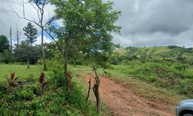 LOTE EN VENTA EN LA LAGUNA SAN CARLOS PANAMÁ