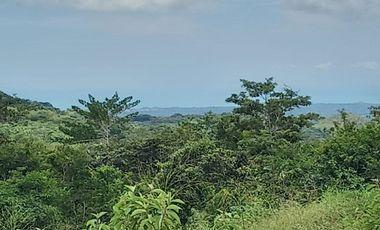LOTE EN VENTA EN LA LAGUNA SAN CARLOS PANAMÁ